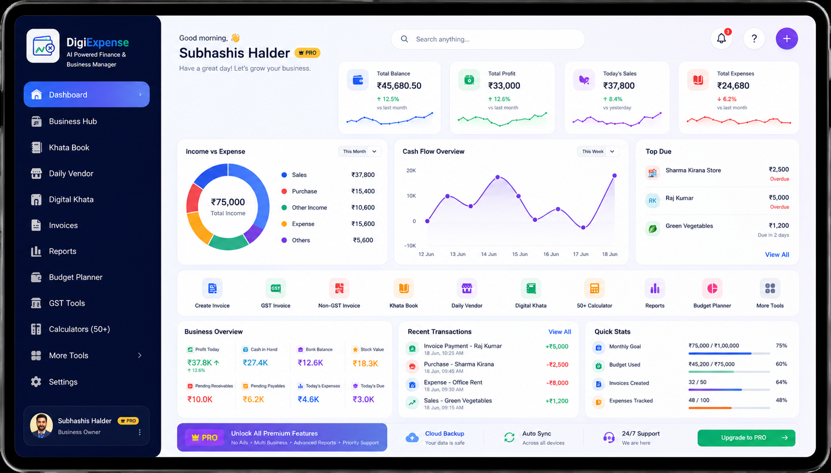 DigiExpense business dashboard preview